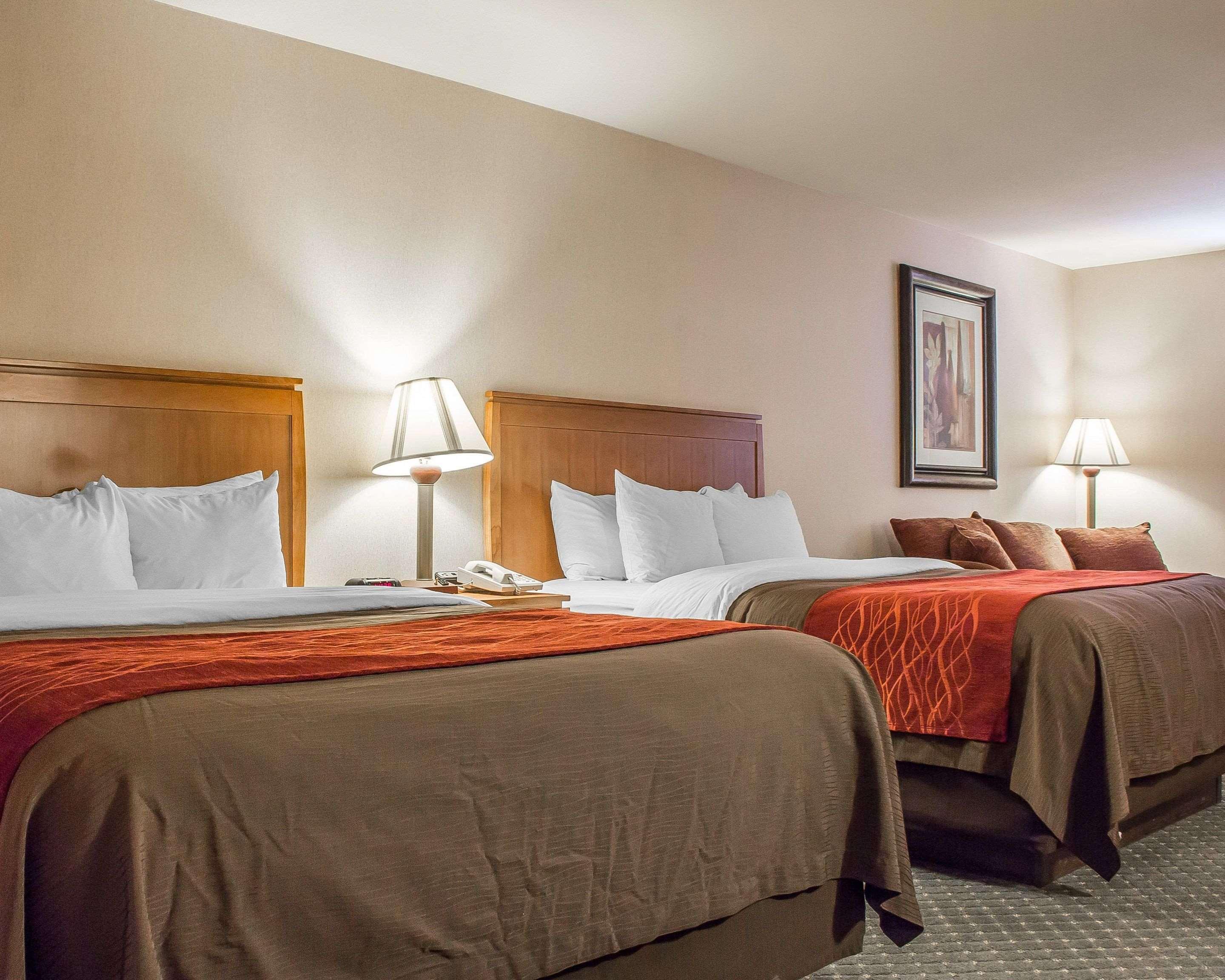 Comfort Inn And Suites Thatcher Room photo